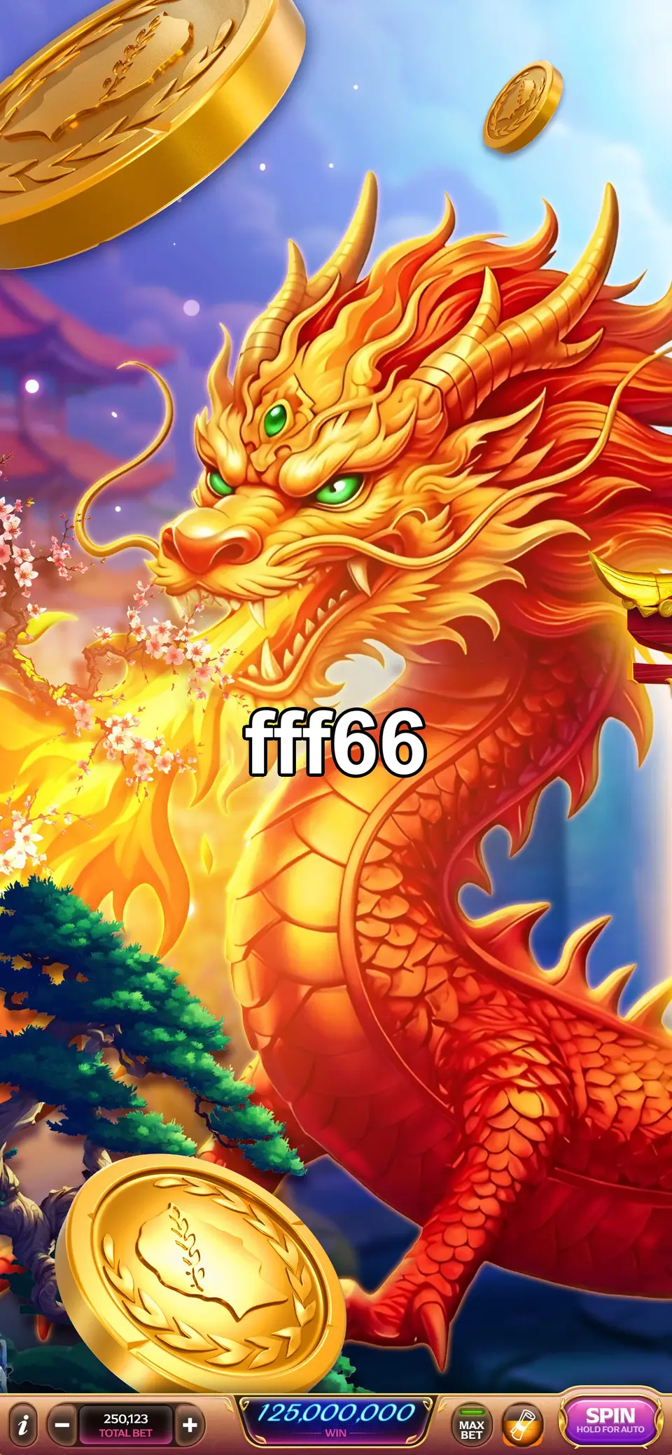 fff66 Masuk